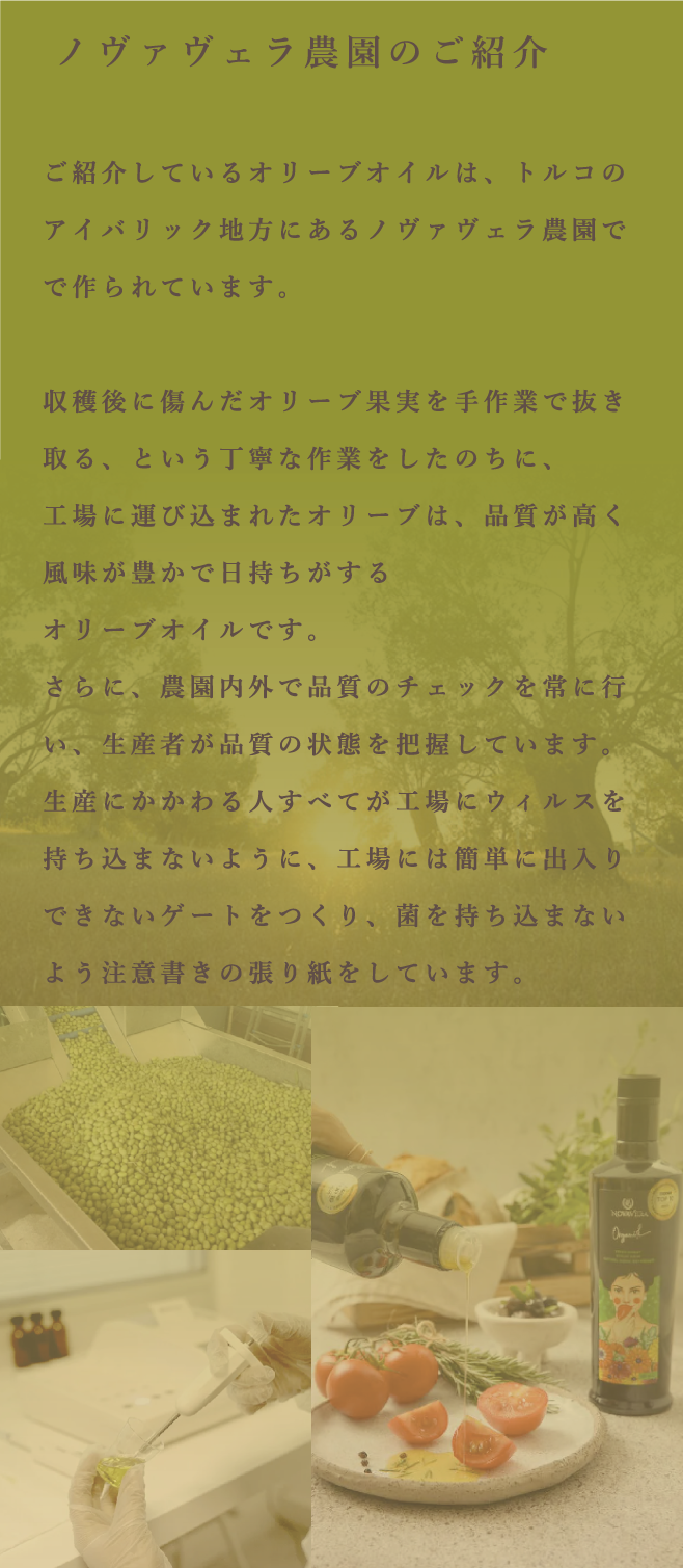 オリーブオイルについて
