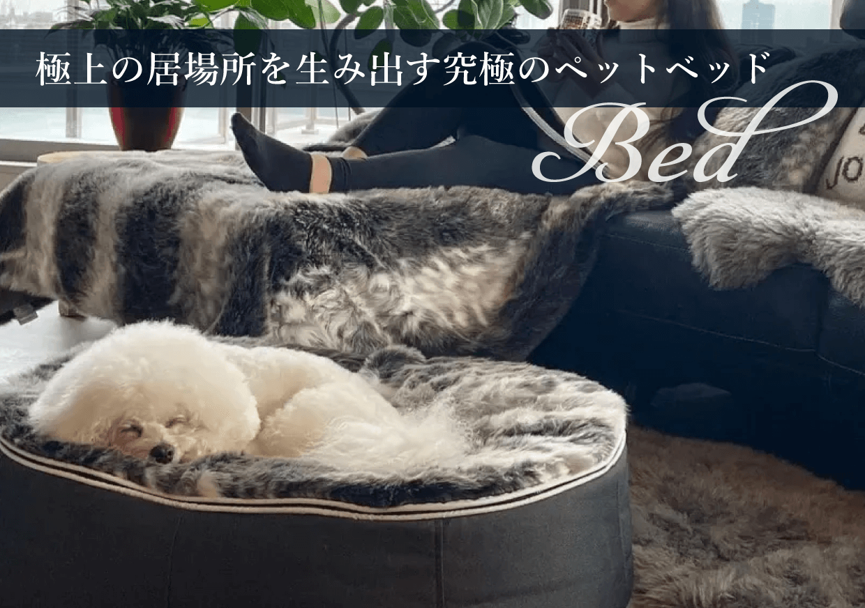 ペットベット