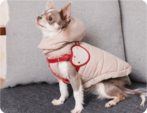 ファッション_PICKUP