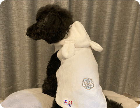 ファッション_PICKUP2