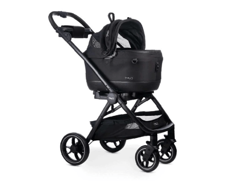 TAVOMaeve™ iso5X + Roscoe™