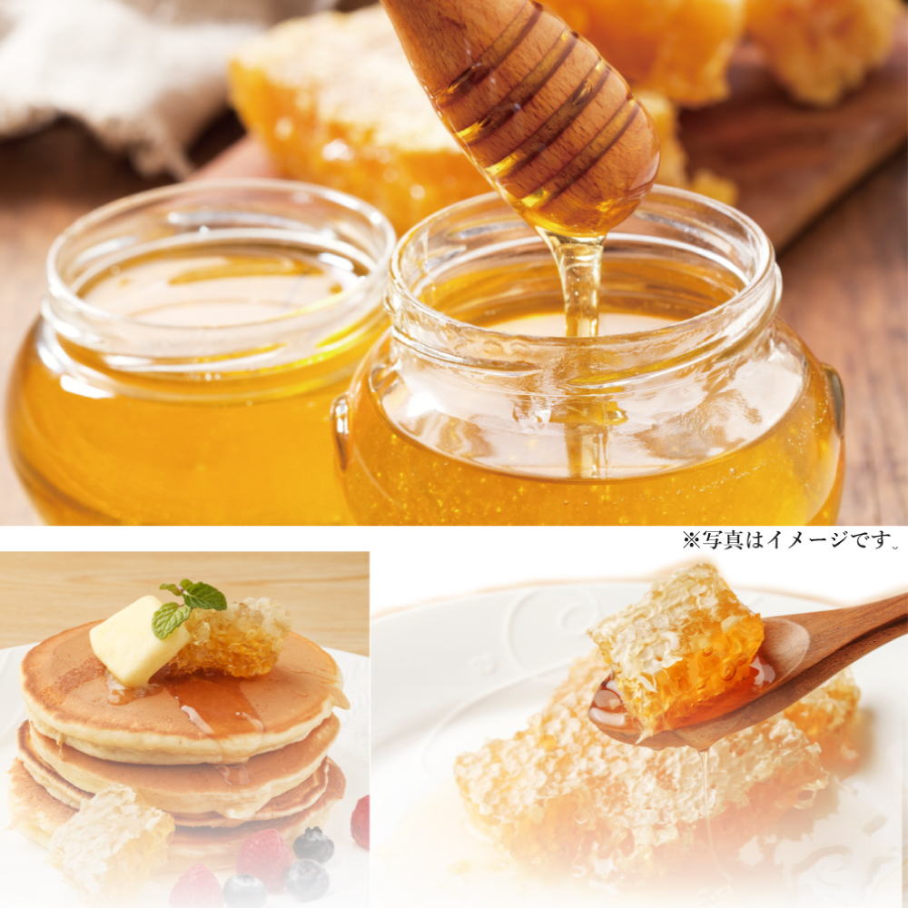【正規品】Bibiy. HONEY BEE TOP ブルー コレクション｜Bibiy.
