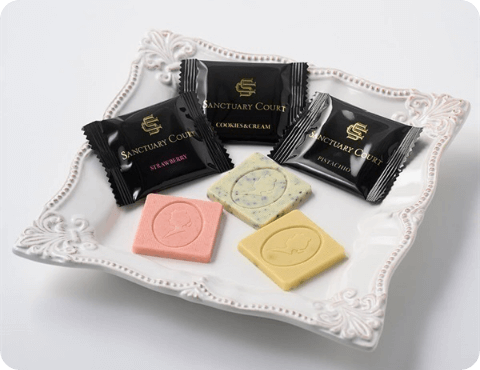 サンクチュアリコートスクエアチョコレート