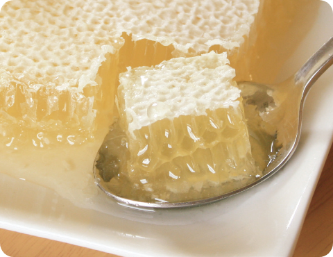 Biene Biene ビオコムハニー