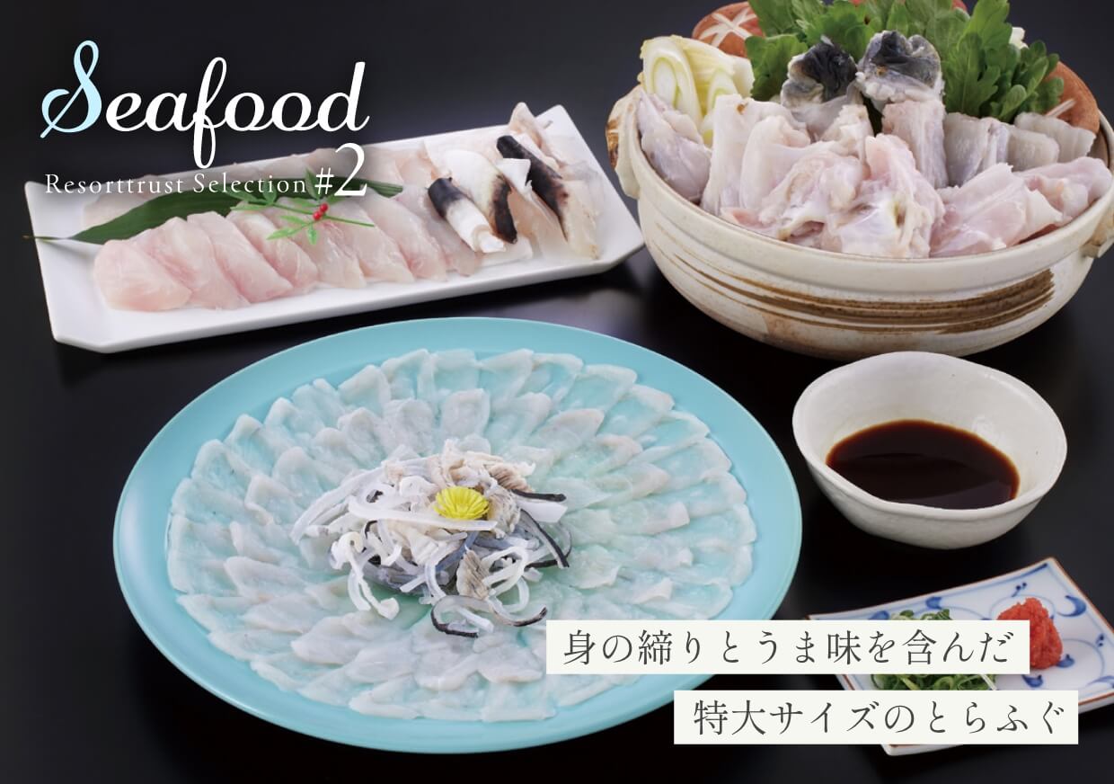 身の締りとうま味を含んだ特大サイズのとらふぐ