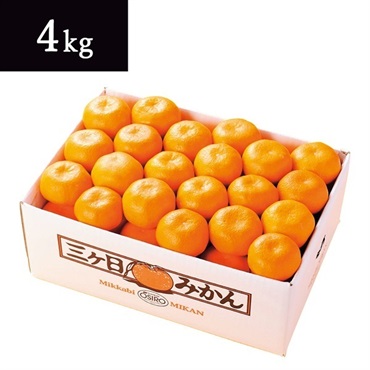 【お歳暮フェア2025】静岡県産 三ヶ日みかん［4kg］＜リゾートトラストセレクション＞