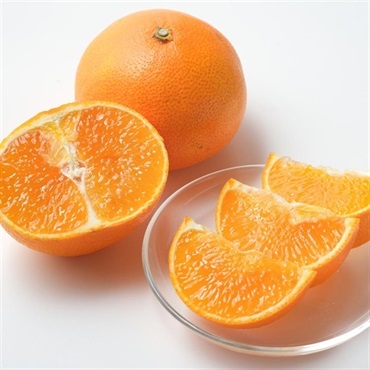 【お歳暮フェア2025】愛媛県産 紅まどんな＜リゾートトラストセレクション＞