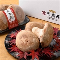 【期間限定】＜徳島椎茸ファーム＞天恵菇＜リゾートトラストセレクション＞[地域の銘品：徳島]