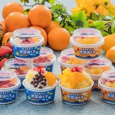 南国白くまマンゴー10個詰合せセット「S＆M-45」(セイカ食品)＜リゾートトラストセレクション＞