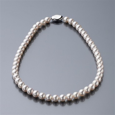 【送料無料】 Tokyo Pearl 8.0×8.5ｍｍ SV あこや真珠 花珠ネックレス＜リゾートトラストセレクション＞