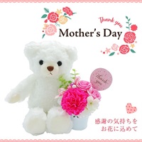 母の日・花器フラワー&ぬいぐるみ（白）セット（クリアケース付）ソープフラワー（ピンク）「ATB1001-SC-PK」＜リゾートトラストセレクション＞