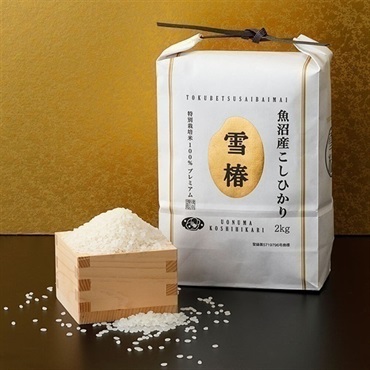 お中元フェア2026】魚沼産 こしひかり 「雪椿」 2kg＜リゾートトラスト