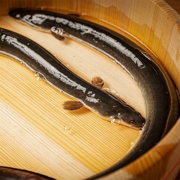 炭焼うな富士 国産うなぎ 肝入りひつまぶし用蒲焼(2名分)＜リゾート
