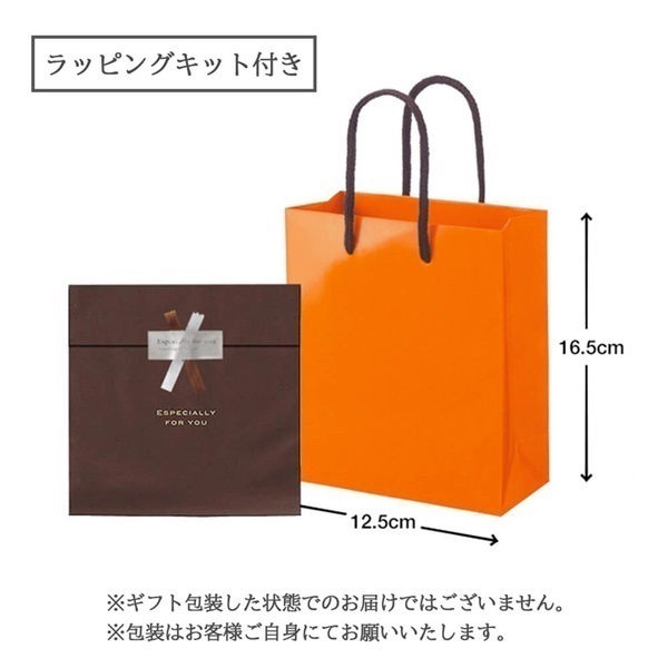 エムケー精工 ライスエース 計量米びつ 6kgタイプ 計量
