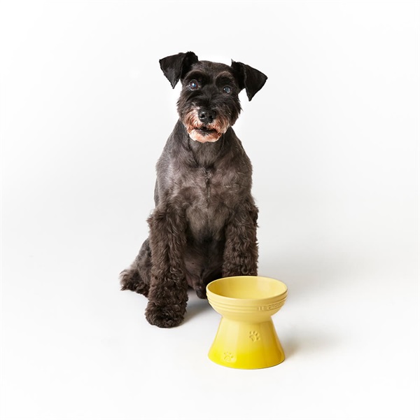 ル・クルーゼハイスタンド・フードボール ピンクとパープル 2点 犬猫 ル・クルーゼ ハイスタンド フードボウル ペット用 犬 猫 食器