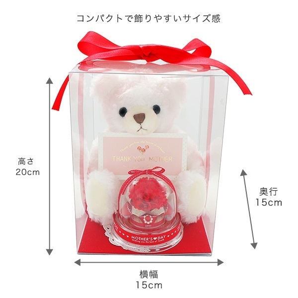 母の日・ミニドームフラワー&ぬいぐるみ（白）セット（クリアケース付