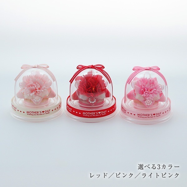 母の日・ミニドームフラワー&ぬいぐるみ（白）セット（クリアケース付
