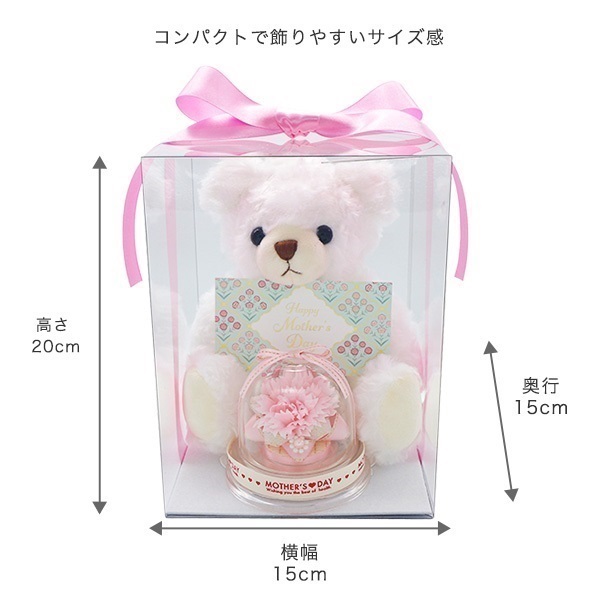 母の日・ミニドームフラワー&ぬいぐるみ（白）セット（クリアケース付